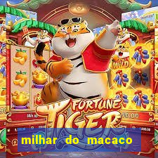 milhar do macaco que mais saem no jogo do bicho